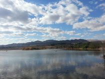 Парк Цфирот в Эйлате. Фото Игоря Пекера.