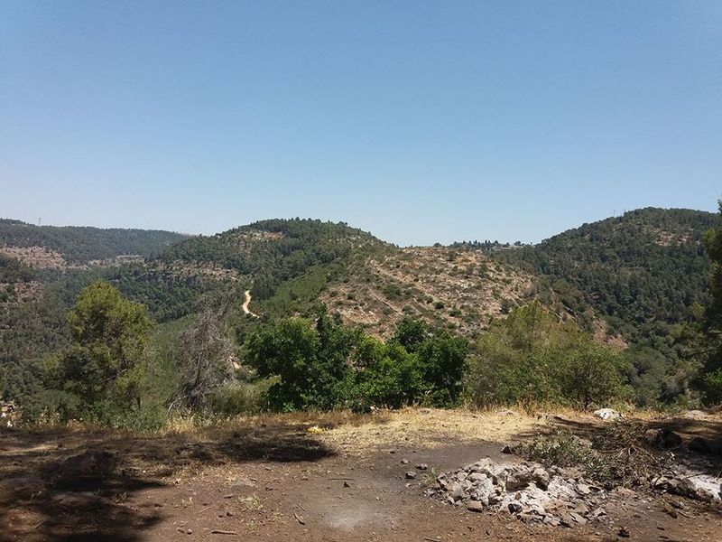 Файл:Иерусалимские ГорыВБ.jpg