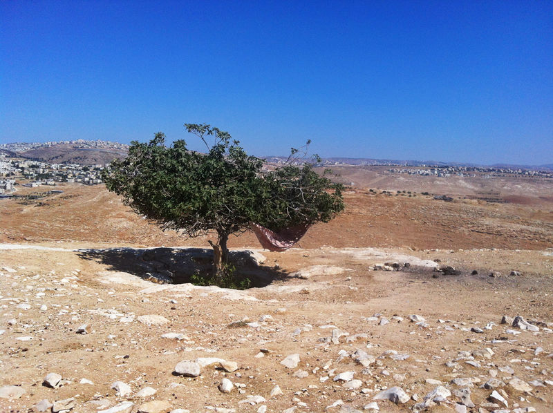 Файл:M11 20130802 10-20-05 Bachurim 3291.jpg