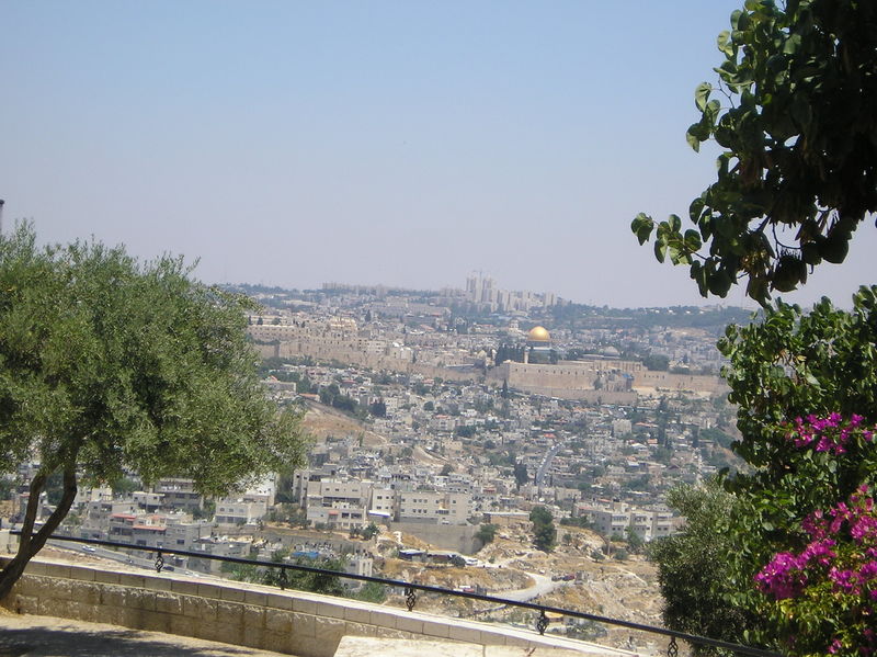 Файл:Армон ха-Нацив.jpg