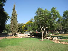 Городской парк вдоль ручья Юваль