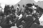 Палаточный лагерь выходцев из Йемена. 1951 г. Государственное бюро печати. Израиль.