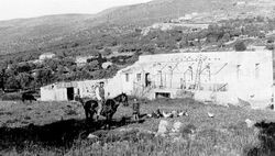 1912 год. Житель мошавы Моца Броза, в чьём доме останавливался Герцль во время поездки по Стране Израиля