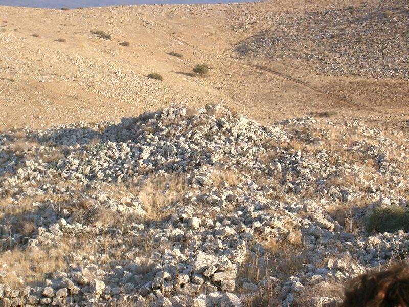 Файл:Махане Пелес .jpg