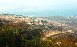 Ариэль зимой. Фото Л.Гроервейдла.