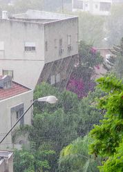 Летний дождь в Хайфе в 2020 г. Фото Анны Лифлянд.