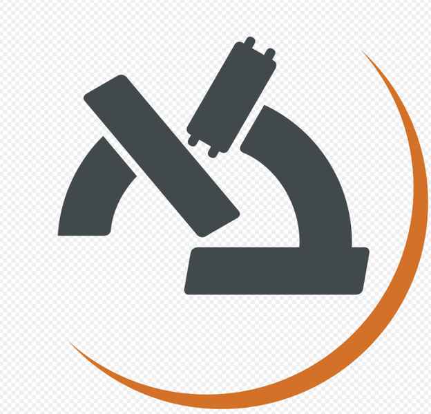 Файл:Bar Ilan logo.png