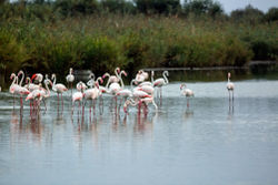 В кибуце Нахшолим в октябре 2021 г. Фото Михаила Гольдштейна.