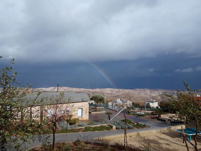 Файл:Иудейская пустыня 1 январ 2018.jpg