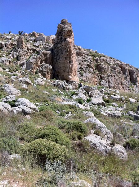 Файл:M11 IMG 1205 Givat HarEl.jpg