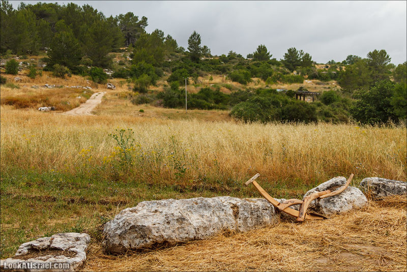 Файл:Музей археологии Самарии.jpg