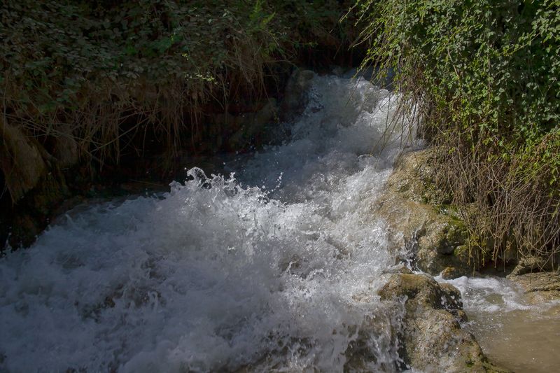 Файл:Эйн а-Нецив.jpg