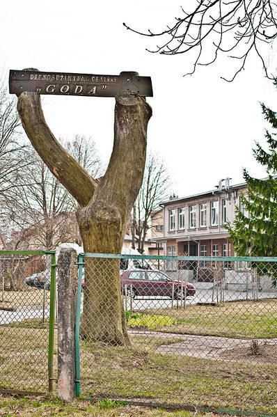 Файл:Zydu kapines siauliai 7.jpg